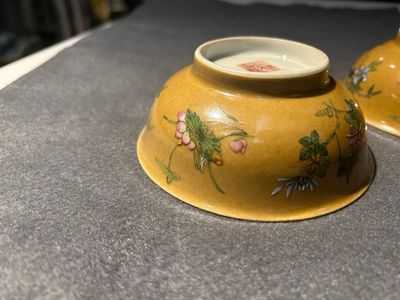 Paire de bols en porcelaine de Chine famille rose à décor de sauterelles sur fond café au lait, marque et époque de Daoguang — photo 14