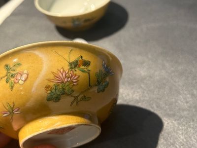 Paire de bols en porcelaine de Chine famille rose à décor de sauterelles sur fond café au lait, marque et époque de Daoguang — photo 20