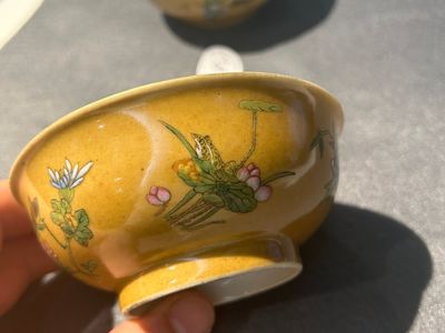 Paire de bols en porcelaine de Chine famille rose à décor de sauterelles sur fond café au lait, marque et époque de Daoguang — photo 21
