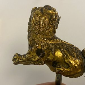Paire de lions bouddhistes en cuivre doré sur socles en émaux champlevés, Chine, 19ème — photo 34