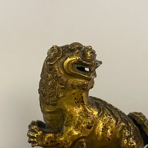 Paire de lions bouddhistes en cuivre doré sur socles en émaux champlevés, Chine, 19ème — photo 37