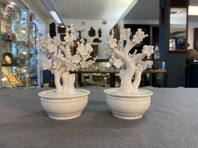 Paire de modèles d'arbres dans jardinières en porcelaine blanche de Chine, Kangxi — photo 2