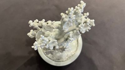 Paire de modèles d'arbres dans jardinières en porcelaine blanche de Chine, Kangxi — photo 8