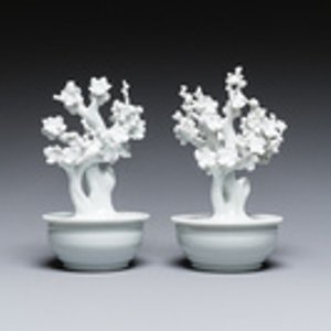 Paire de modèles d'arbres dans jardinières en porcelaine blanche de Chine, Kangxi — photo 2