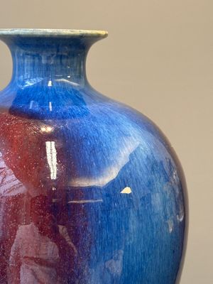 Paire de vases de forme 'meiping' en porcelaine de Chine à émail flambé, 18ème — photo 19