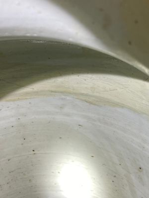 Paire de vases en porcelaine de Chine famille verte à décor de faisans, Kangxi — photo 16
