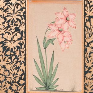 Persian and Indian school: seven miniatures with figurative and floral designs on Quran pages, 19/20th C. — 照片 9