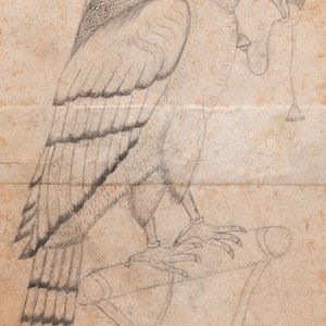 Perzische school, miniatuur: 'Een staande valk', potlood op papier, 18/19e eeuw — foto 1