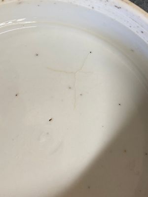 Pot couvert en porcelaine de Chine en bleu et blanc à décor d'antiquités, Kangxi — photo 11