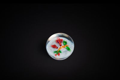 Presse-papier en verre à décor de fuchsia sur fond latticinio, Saint Louis, ca. 1850