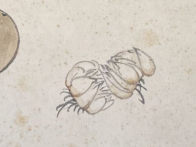 Pu Yi 溥儀 (1906-1967): 'Kalligrafie' en Wan Rong 婉容 (1904-1946): 'Stilleven', inkt en kleur op papier — foto 15