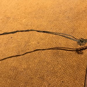 Qi Baishi (1864-1957), Lange meloenen en hun bladeren, inkt en kleur op papier — foto 46