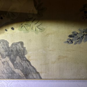 Quatre aquarelles aux oiseaux parmi branches avec de le calligraphie, encadrées, Chine, 19ème — photo 12