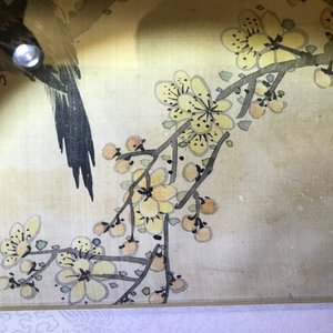 Quatre aquarelles aux oiseaux parmi branches avec de le calligraphie, encadrées, Chine, 19ème — photo 16