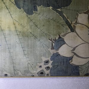 Quatre aquarelles aux oiseaux parmi branches avec de le calligraphie, encadrées, Chine, 19ème — photo 31
