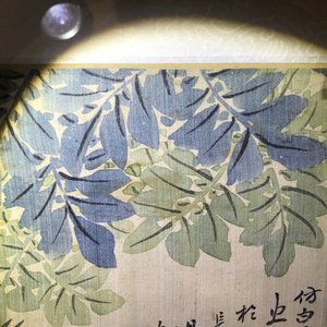 Quatre aquarelles aux oiseaux parmi branches avec de le calligraphie, encadrées, Chine, 19ème — photo 7