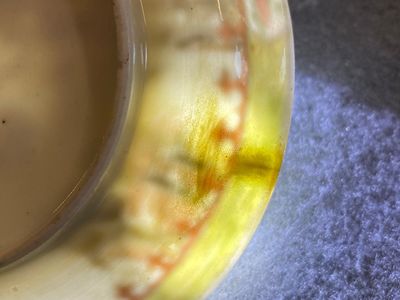 Rare tasse et soucoupe en porcelaine de Chine famille rose à décor d'une vue de port, Yongzheng — photo 12