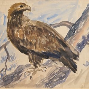 Sadji (Sha Qi, Sha Yinnian) (1914-2005), Un aigle, aquarelle et encre sur papier, signé en haut à gauche — photo 1