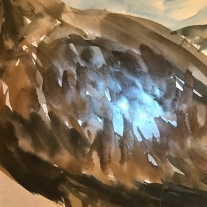 Sadji (Sha Qi, Sha Yinnian) (1914-2005), Un aigle, aquarelle et encre sur papier, signé en haut à gauche — photo 17