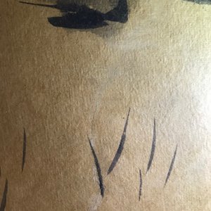 Sadji (Sha Qi, Sha Yinnian) (1914-2005), Un cheval galopant, encre sur papier, signé en bas à gauche — photo 7