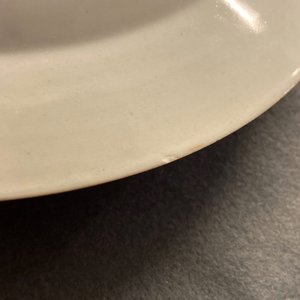 Seven Chinese famille rose plates with Luohan near a tiger, Qianlong — 照片 27