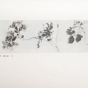 Shanghai, 1955: Gems of Chinese paintings, 'Hua yuan duo ying', drie volumes, eerste editie — foto 14