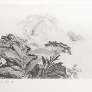 Shanghai, 1955: Gems of Chinese paintings, 'Hua yuan duo ying', drie volumes, eerste editie — foto 17