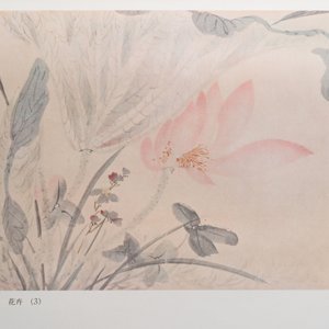 Shanghai, 1955: Gems of Chinese paintings, 'Hua yuan duo ying', drie volumes, eerste editie — foto 18