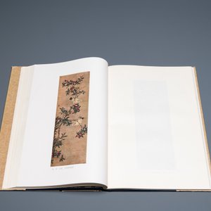 Shanghai, 1955: Gems of Chinese paintings, 'Hua yuan duo ying', drie volumes, eerste editie — foto 5