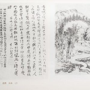 Shanghai, 1955: Gems of Chinese paintings, 'Hua yuan duo ying', trois volumes, première édition — photo 19