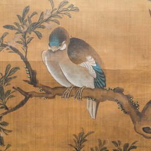 Shen Quan (1682-1762) encre et couleurs sur soie, 18ème: 'Deux scènes aux oiseaux' — photo 12