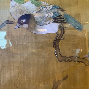 Shen Quan (1682-1762) encre et couleurs sur soie, 18ème: 'Deux scènes aux oiseaux' — photo 23