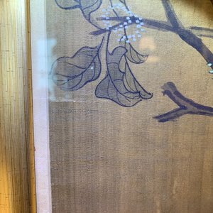 Shen Quan (1682-1762), ink and colour on silk, 18th C.: 'Two  scenes with birds' — photo 27