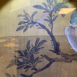 Shen Quan (1682-1762), inkt en kleur op zijde, 18e eeuw: 'Twee scènes met vogels' — foto 35