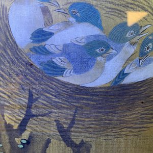 Shen Quan (1682-1762), inkt en kleur op zijde, 18e eeuw: 'Twee scènes met vogels' — foto 36