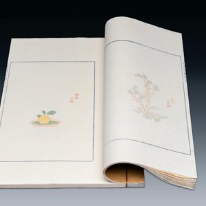 Shizhuzhai Jianpu 十竹齋箋譜, houtsneden met reliëfontwerp op Chinees papier, gedateerd 1952 — foto 4