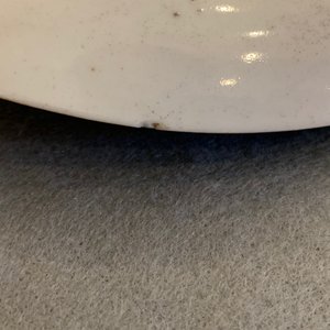 Six Chinese Canton famille rose plates, 19th C. — 照片 11