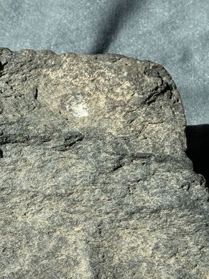 Six Gandhara grey schist fragments with divinities and floral design, 1/4th C. — 照片 44
