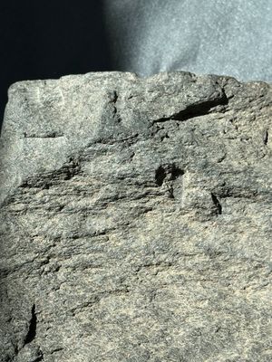 Six Gandhara grey schist fragments with divinities and floral design, 1/4th C. — 照片 45