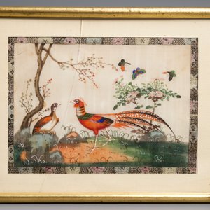 Six peintures sur papier de riz encadrées, Canton, Chine, 19ème — photo 8