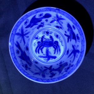 Six tasses et soucoupes en porcelaine de Chine bleu et blanc et céladon, Kangxi — photo 17