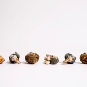 Six various Japanese netsuke in ivory and porcelain, Meiji/Taisho, 19/20th C. — photo 7