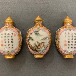 Sixteen various Chinese porcelain snuff bottles, 19/20th C. — 照片 3