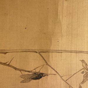 Sun Jia Shou (20ème), encre et couleurs sur soie: 'Branches fleuries aux oiseaux et insectes', daté 1936 — photo 12