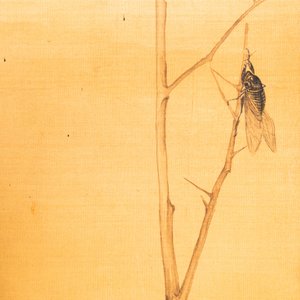 Sun Jia Shou (20th C.), ink and color on silk: 'Blossoming branches with birds and insects', dated 1936 — photo 5
