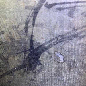 Tani Buncho (Japan, 1763-1841): Birds on a flower branch, ink and color on silk, framed — photo 18