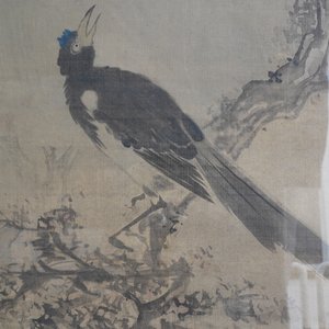 Tani Buncho (Japan, 1763-1841): Vogels op een bloesemtak, inkt en kleur op zijde, in lijst — foto 7