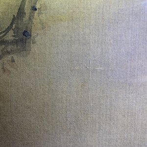 Tani Buncho (Japon, 1763-1841): Oiseaux sur une branche fleurie, encre et couleurs sur soie, encadré — photo 12