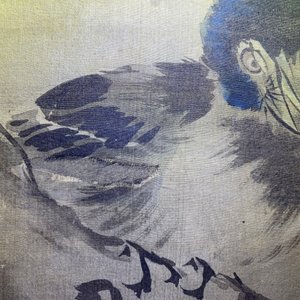 Tani Buncho (Japon, 1763-1841): Oiseaux sur une branche fleurie, encre et couleurs sur soie, encadré — photo 16