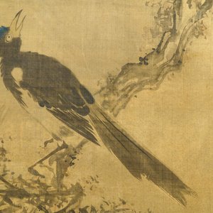 Tani Buncho (Japon, 1763-1841): Oiseaux sur une branche fleurie, encre et couleurs sur soie, encadré — photo 4